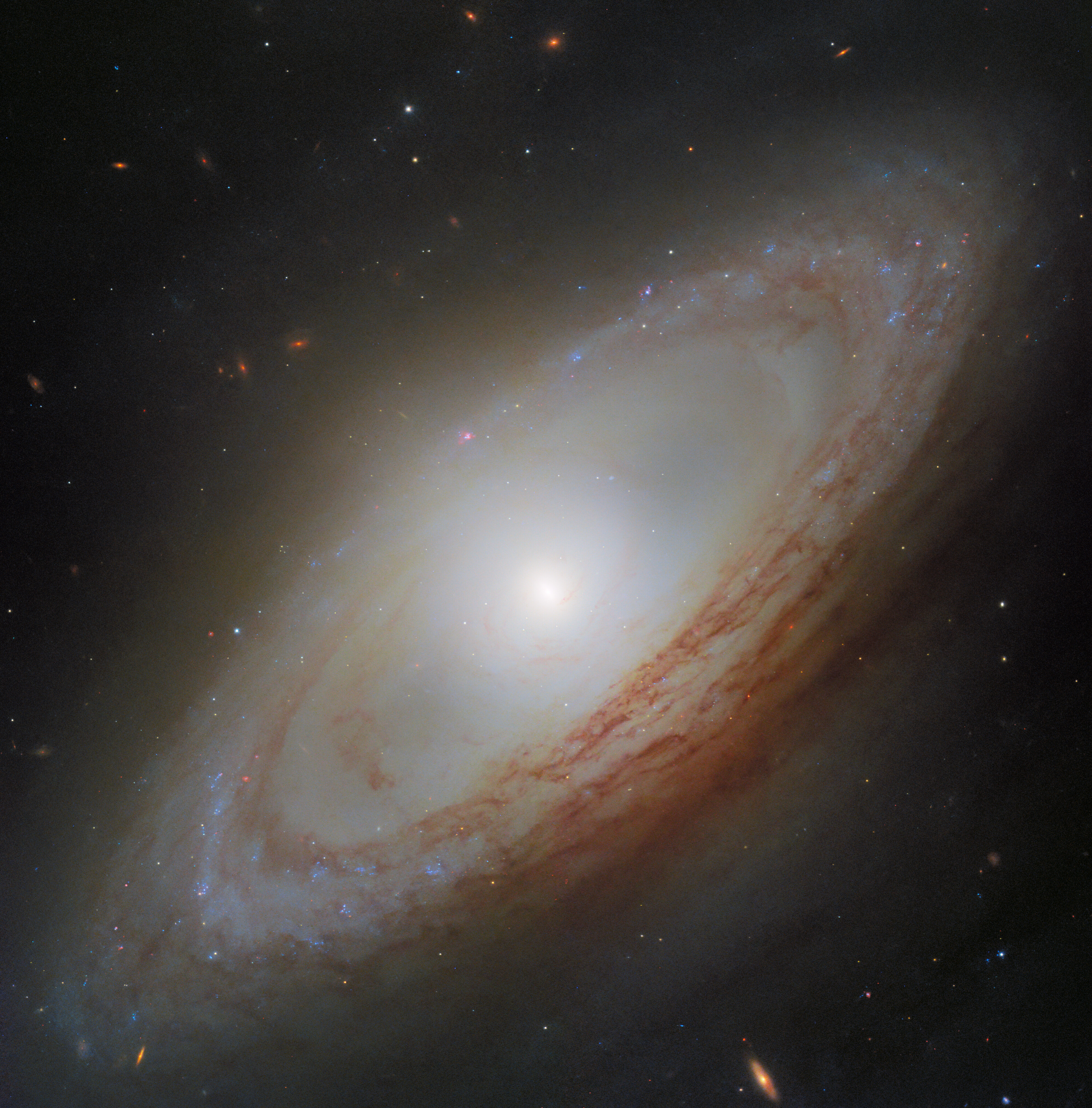 Telescópio Hubble descobre anomalia cósmica em galáxia espiral que desafia modelos astronômicos